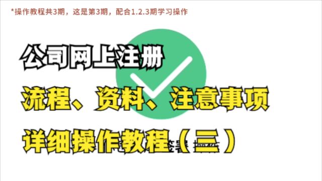 公司网上注册,流程、资料、注意事项,详细操作教程(三)