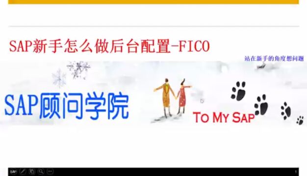 SAP新手如何做后台配置FICO