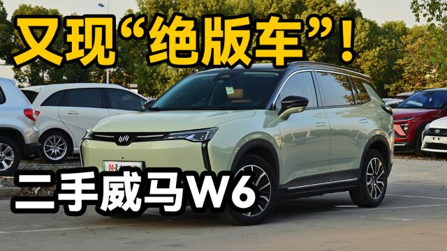 爱电动车的诺诺又现“绝版车”——威马W6