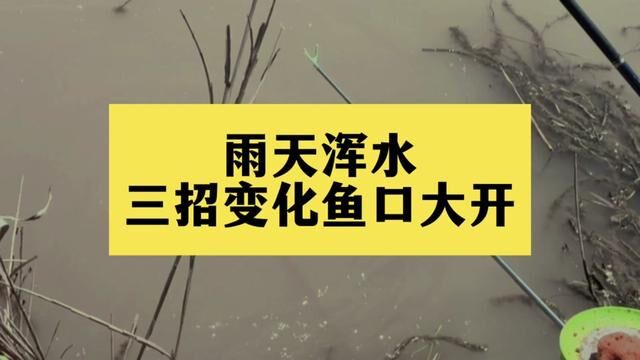 雨天浑水,三招变化让鱼口大开 #新手钓鱼 #钓鱼技巧 #浑水钓鱼 #钓鱼 #野钓