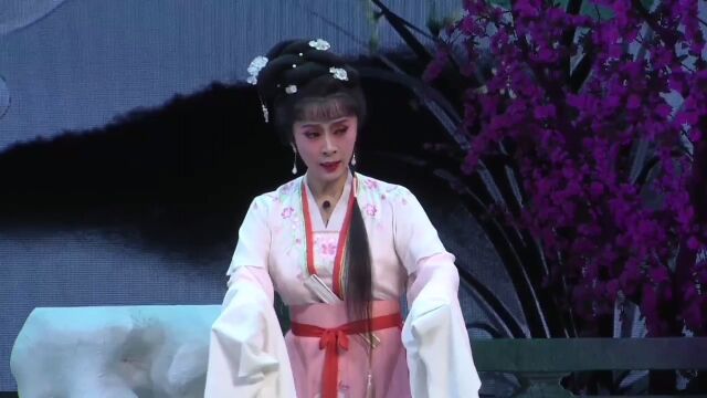 梅花奖获得者,杨丽琼老师表演经典剧目《莫愁女》选段