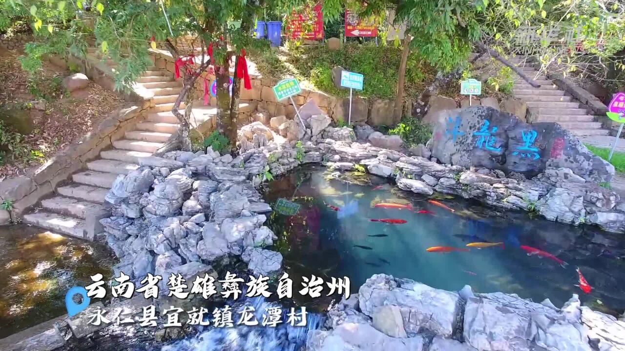 四季旅行ⷥ…‰影云南|龙潭风光 清泉如画