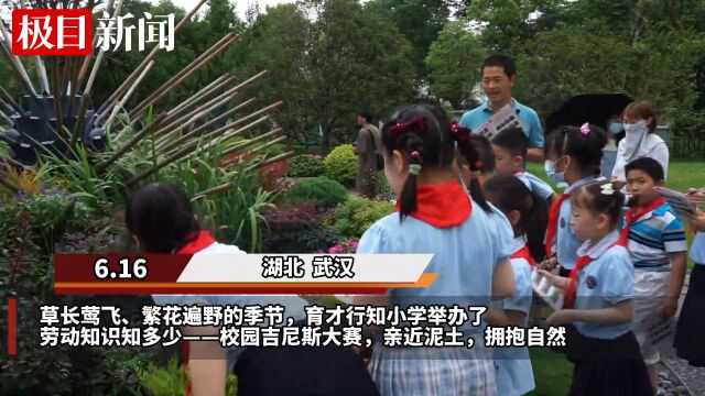 【视频】到大自然中“答题”,武汉一小学开展劳动知识校园吉尼斯大赛