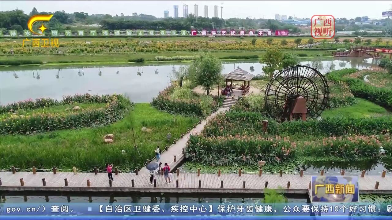 南宁:湿地保护成效显著