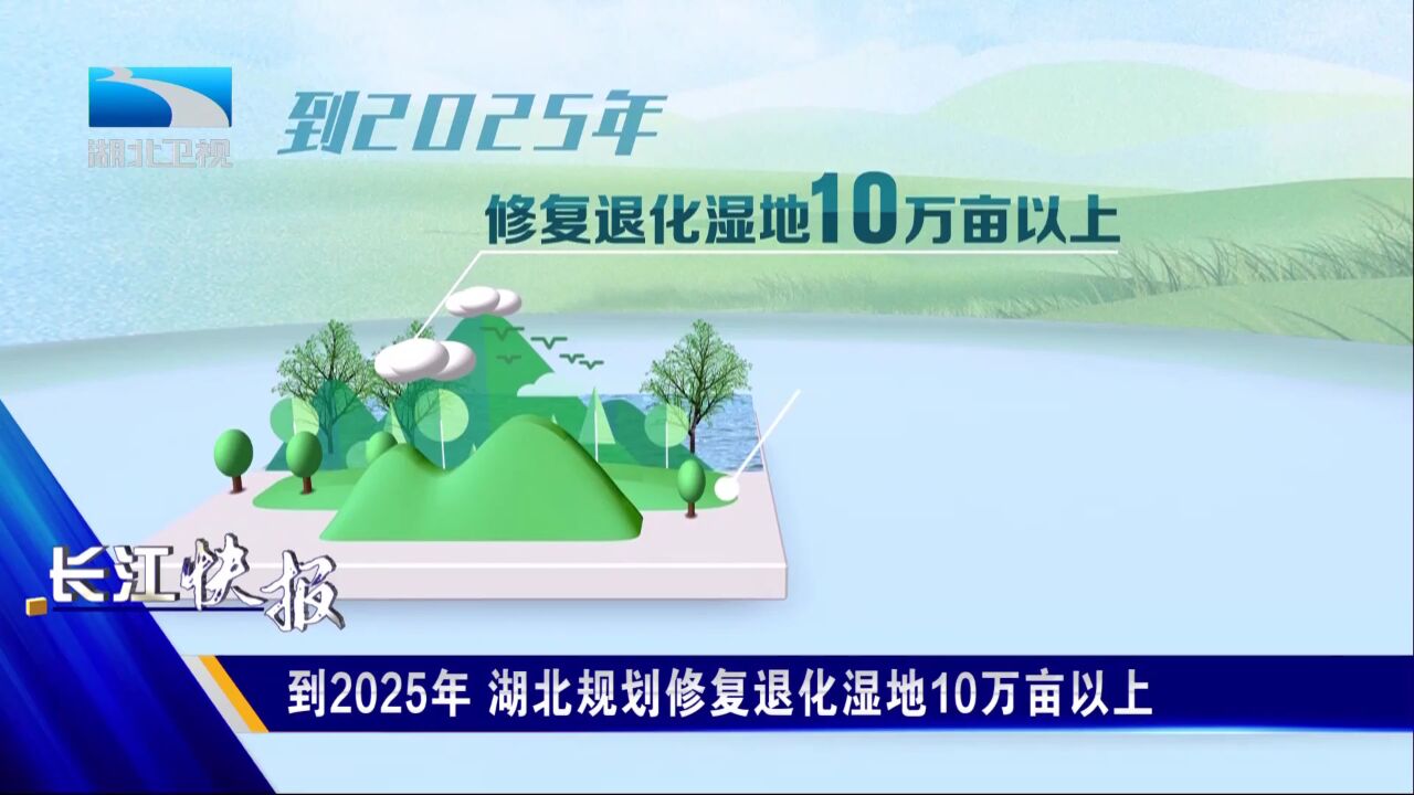 到2025年 湖北规划修复退化湿地10万亩以上