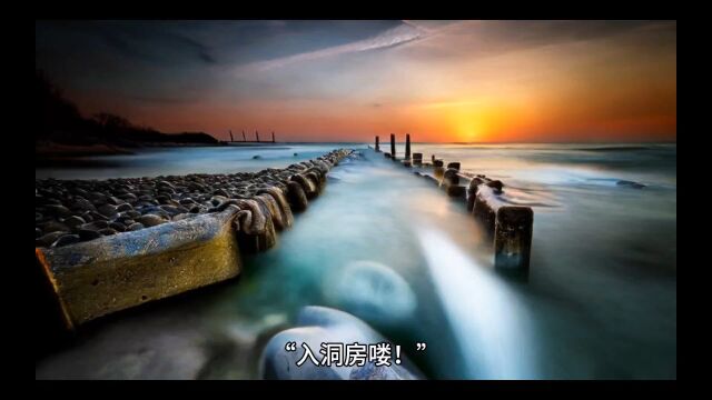 叶灵秦枭《八零甜妻娇又媚》小说全文(完结热书)