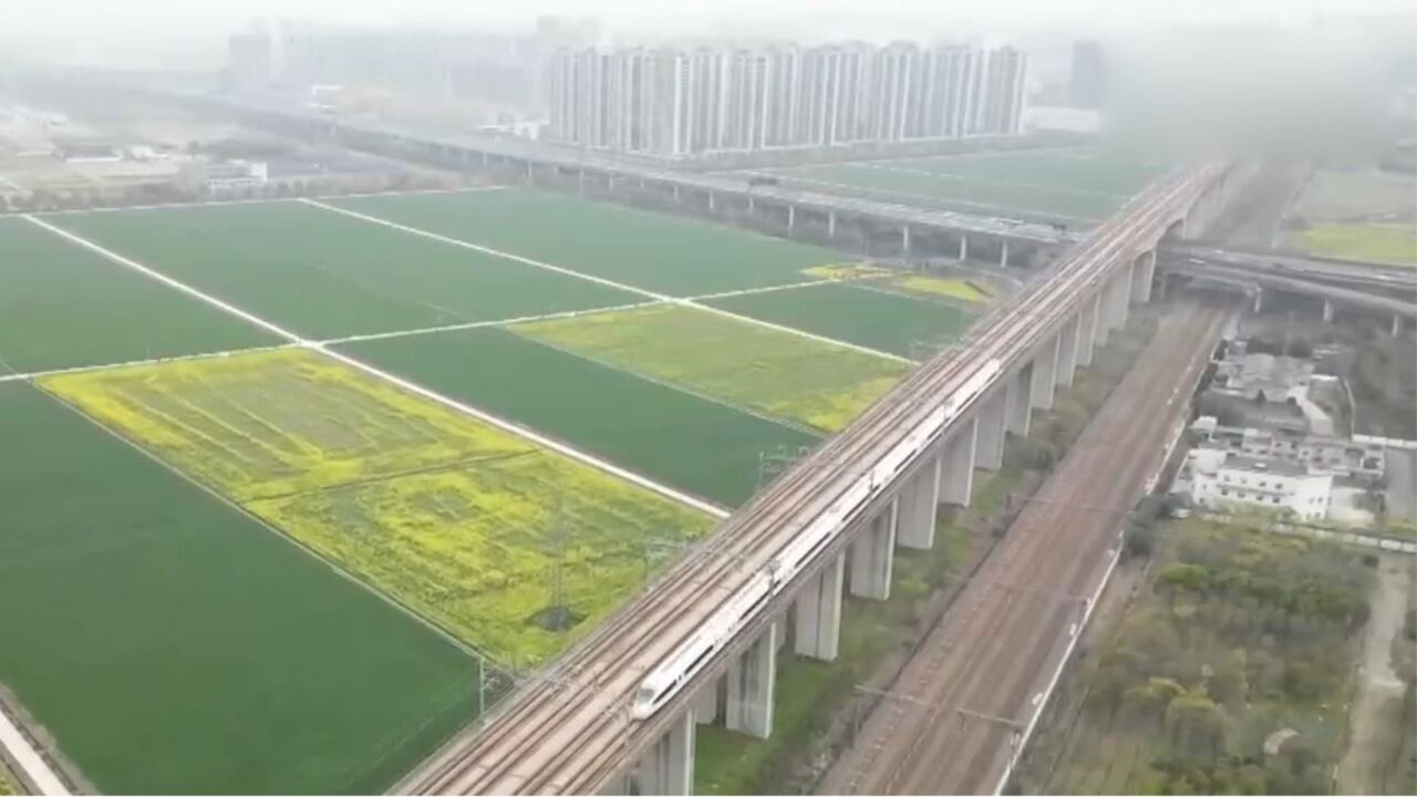 浙江杭州:严守耕地红线,为城市留住稻香