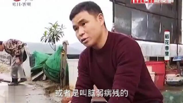 螃蟹个头大产量高,养殖有什么诀窍吗?水质要好水草也大有讲究!