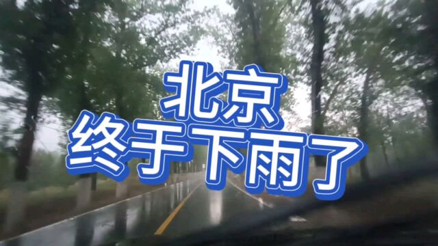 北京终于下雨了,滚蛋吧高温,一分钟沉浸享受下雨了,music开始