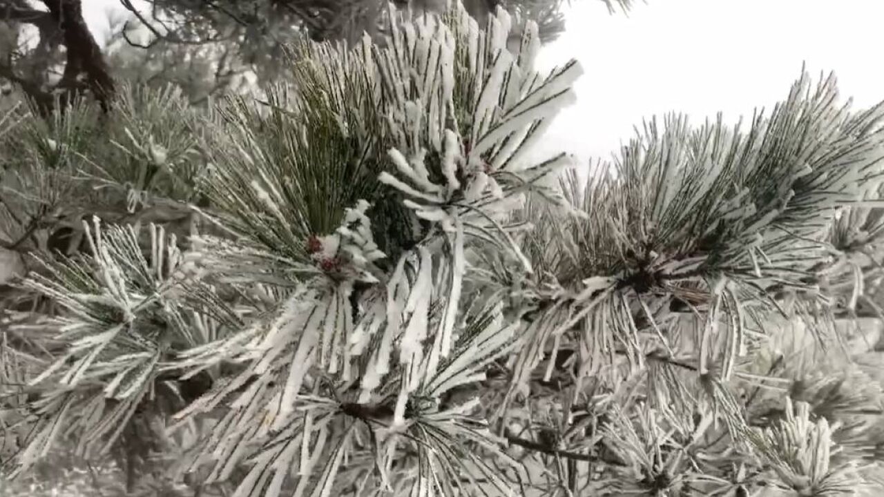 日照五莲大青山:凝霜挂雪 静谧美好