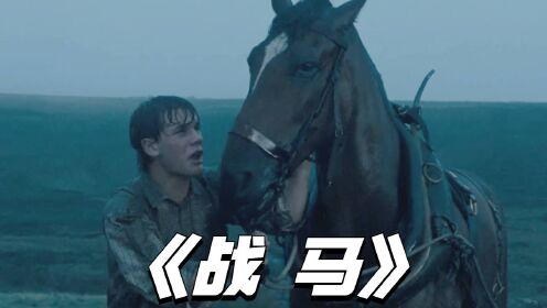 战争永远没有赢家,和平才是最好的归宿