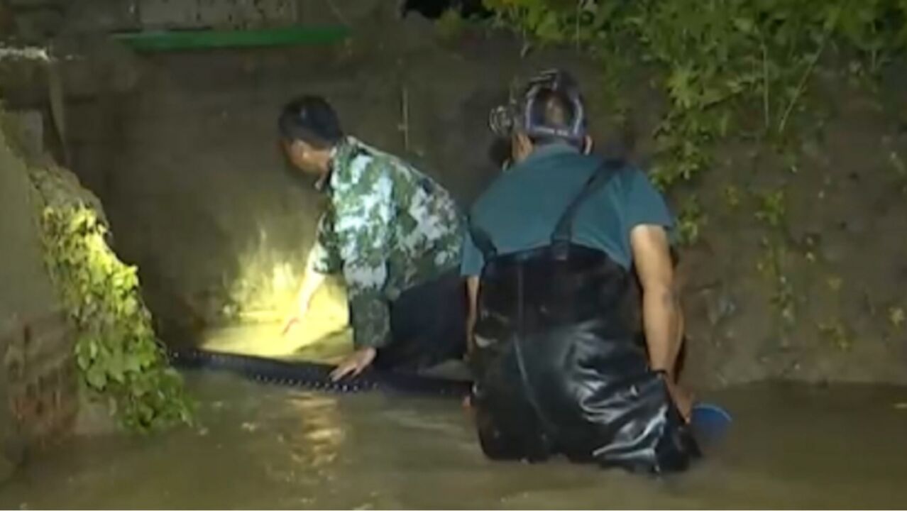 安徽利辛强降雨引发内涝,连夜排涝保苗