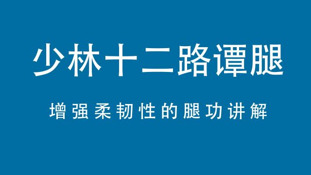 少林十二路谭腿增强柔韧性的腿功讲解