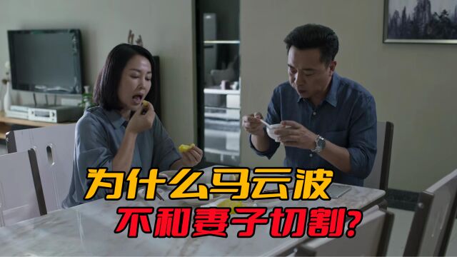 《破冰行动》为什么马云波不把妻子送进戒毒所?因为他根本做不到