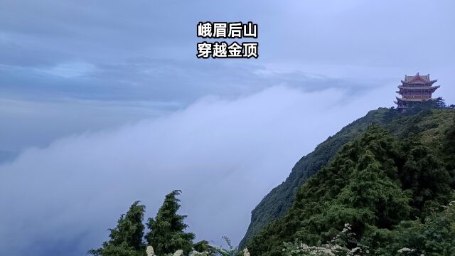 夜爬峨眉后山穿越金顶,万佛顶上看云瀑金顶等太阳,仿若置身仙境