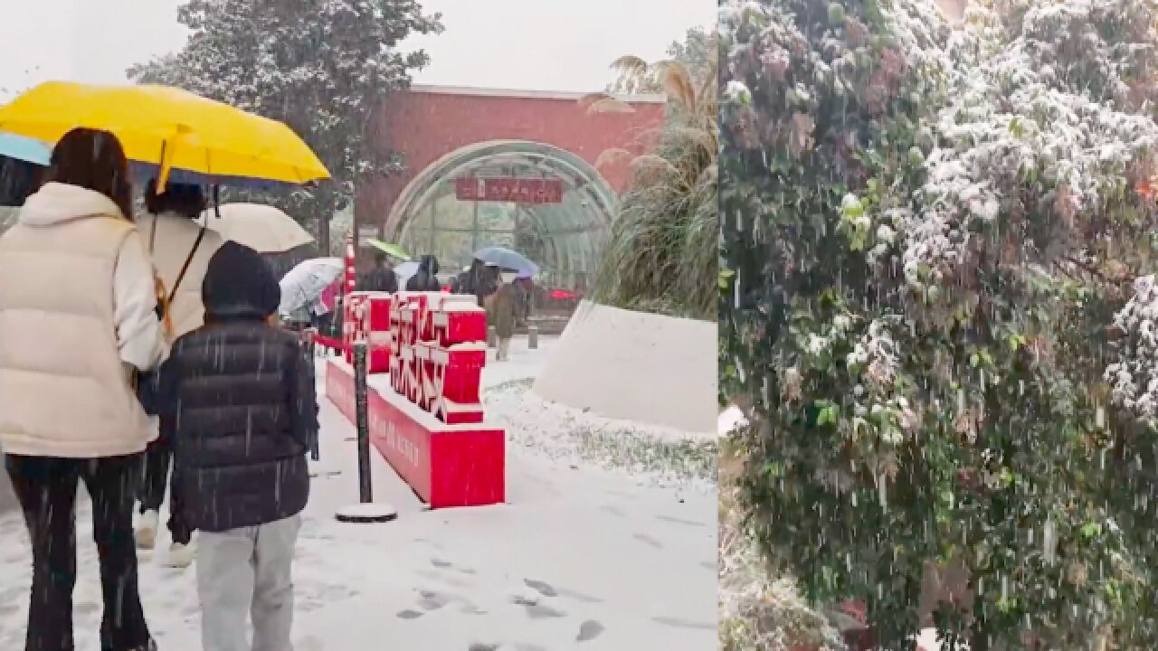 雪花伴随着冬雷,迎来今冬首场初雪的西安开启银装素裹模式