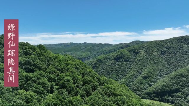 六盘山水秀巍峨 绿野仙踪隐其间