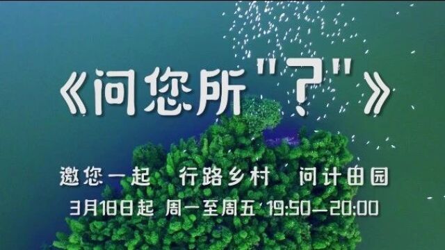 问您所“?” | 五通桥粮药现代农业园区——天府粮仓里的“五通桥样板”