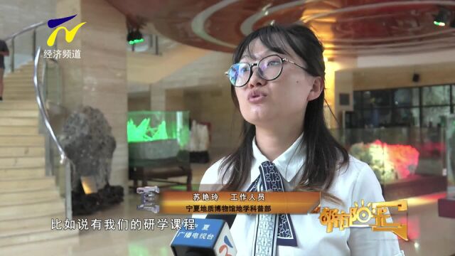 【阳光资讯】小小讲解员 地质博物馆里快乐过暑假