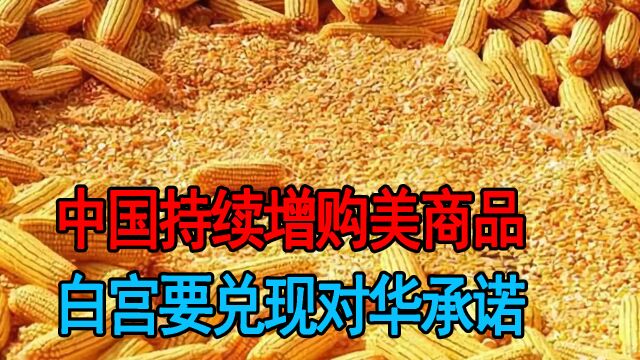 中国持续增购美商品,美议员联名致函拜登,要求向中方提10项诉求