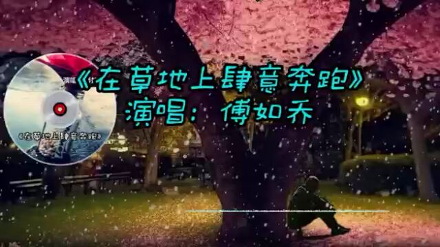 在草地上肆意奔跑,有多久没有这样了