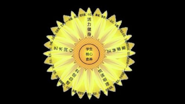 松江区第三实验小学:童心童趣同成长丨家门口的好学校