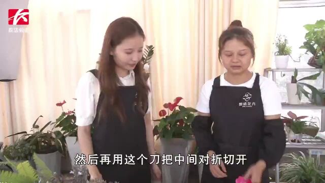 乡当韵味:湖南湘江新区莲花镇五丰村:花香果甜的“甜蜜之旅”