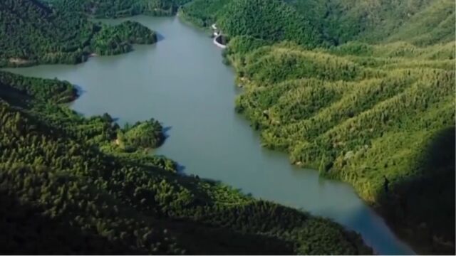 全国主要江河年总输沙量总体减少