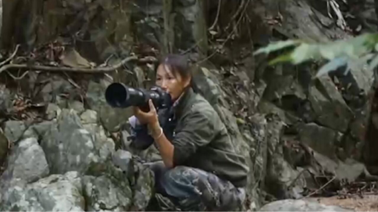 海南热带雨林国家公园寻影雨林深处“精灵”,定格美好瞬间