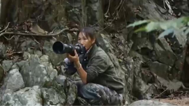 海南热带雨林国家公园寻影雨林深处“精灵”,定格美好瞬间