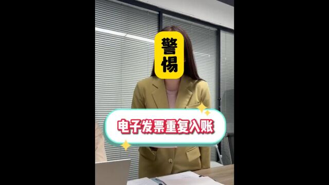 防止电子发票重复入账!