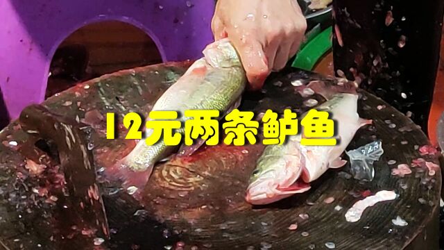 广州荔塱,加州鲈(大口黑鲈),12元两条好抵食