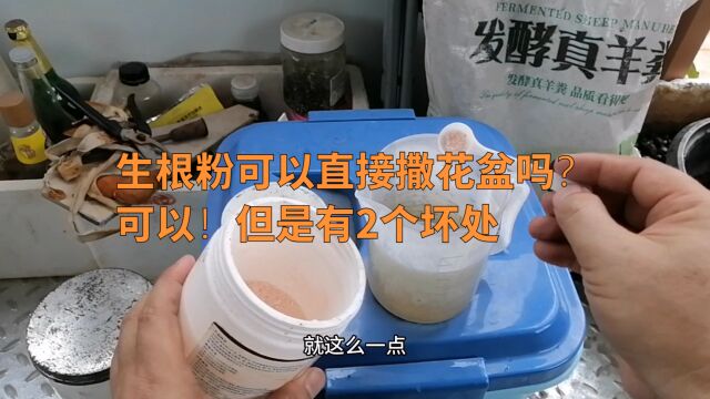 生根粉可以直接撒花盆吗?可以!但是有2个坏处