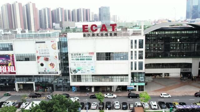 为什么金沙洲ECAT创意园这么旺,看完这个视频你就知道啦!各位老板快看看#创业 #广佛同城 #广州写字楼