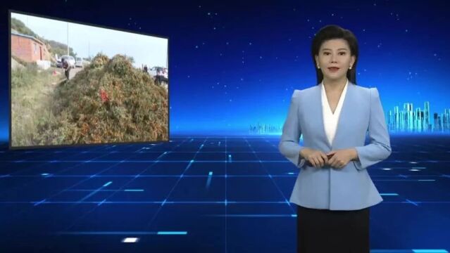 宁武上电视了!老乡乐开花!