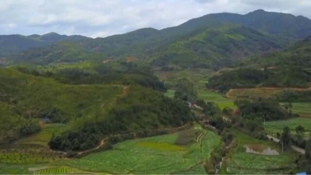 亚热带季风性湿润气候,造就了我国中南部地区独特的地带性特征