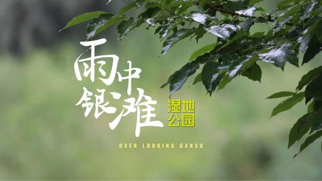 这里是甘肃|安宁区:雨中银滩湿地公园