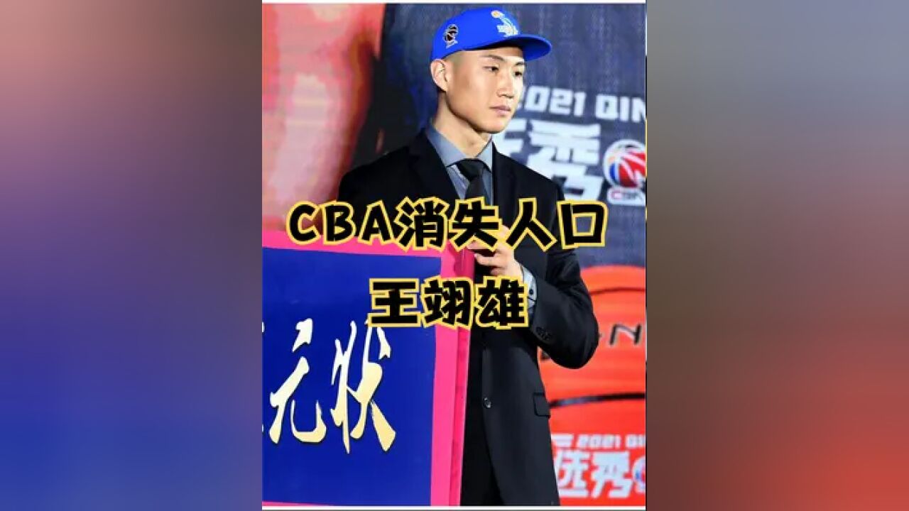 盘点CBA这两年CBA消失人口014:从海归猛男到“最水状元”的王翊雄