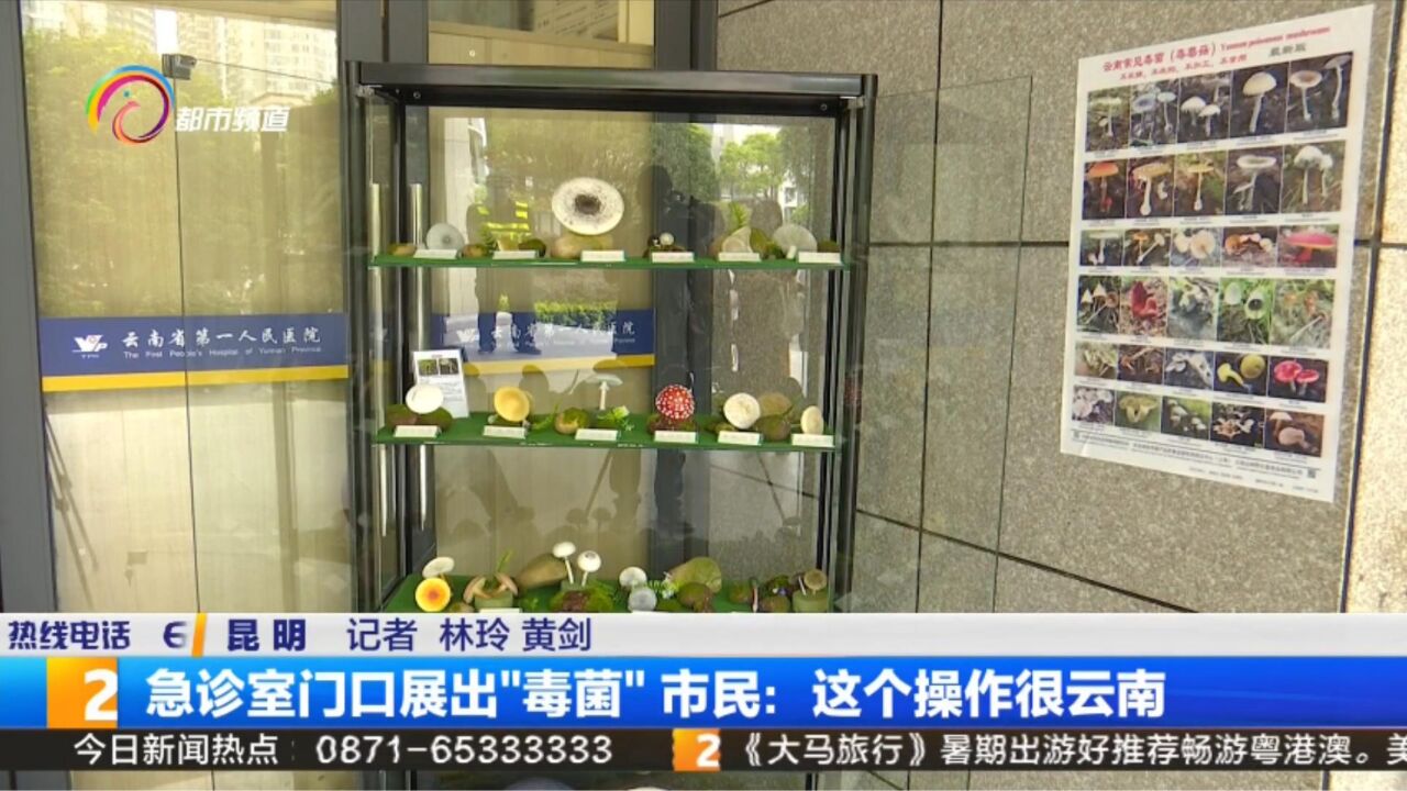 急诊室门口展出“毒菌” 市民:这个操作很云南