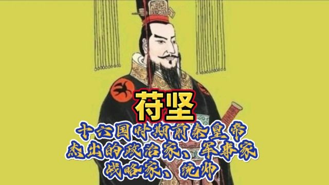 十六国时期前秦皇帝,杰出的政治家、军事家、战略家、统帅苻坚