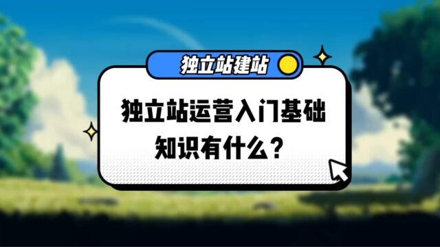 独立站运营入门基础知识有什么?跨境独立站运营需要了解哪些基础知识?