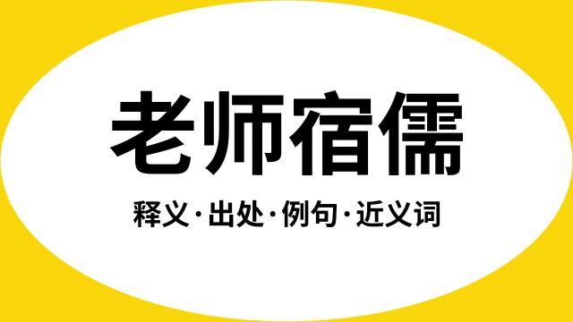 “老师宿儒”是什么意思?