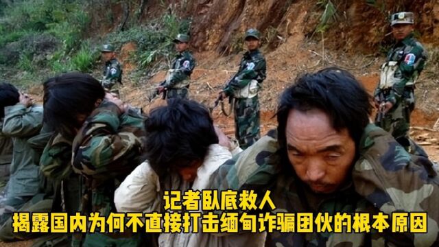 记者卧底救人,揭露国内为何不直接打击缅甸诈骗团伙的根本原因