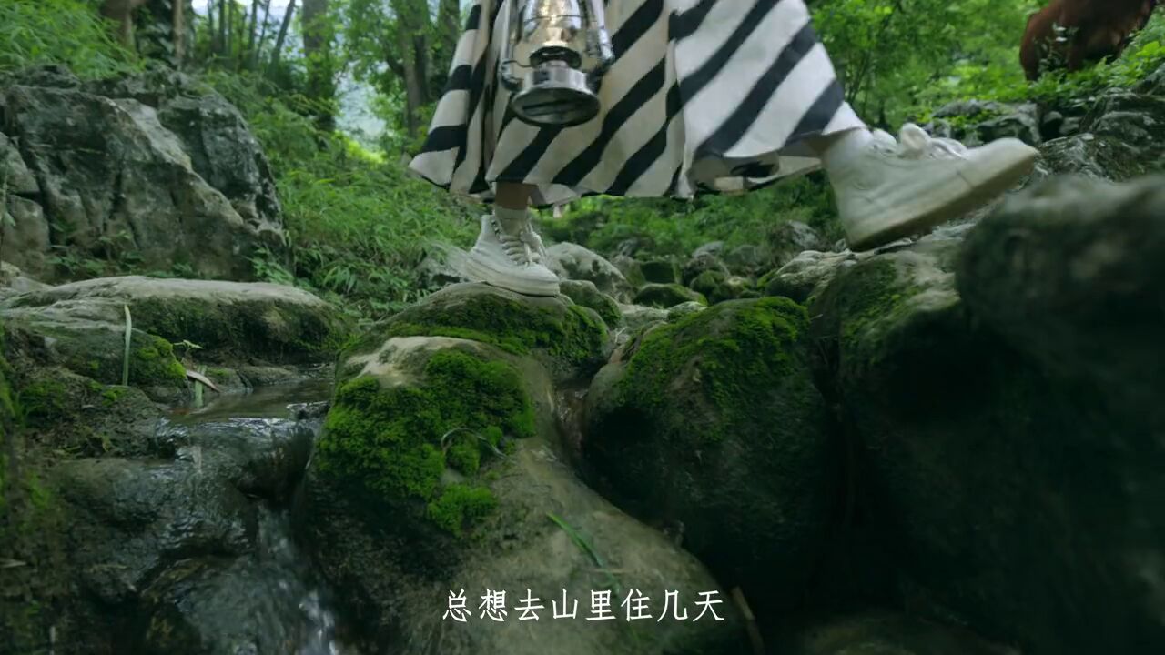 来盘州市陆家寨,做一场清凉的山野梦!