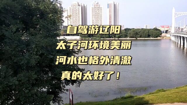 自驾游辽阳,太子河环境美丽,河水也格外清澈,真的能喝吗?