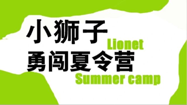 华南师范大学工学部赴狮山镇桃园社区“编码未来,情寄狮山”实践团