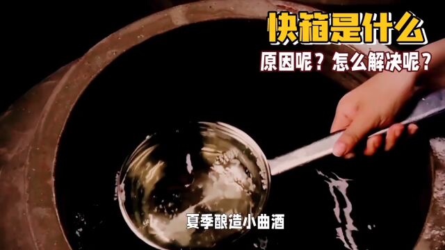 夏季酿造小曲酒必备知识,如何避免快箱呢?快箱是什么原因呢?怎么解决呢呢?