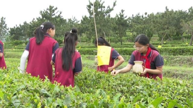 乳山打造文旅研学游 “沉浸式”体验农俗野趣