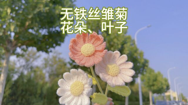 永生花束,无铁丝雏菊钩织教程