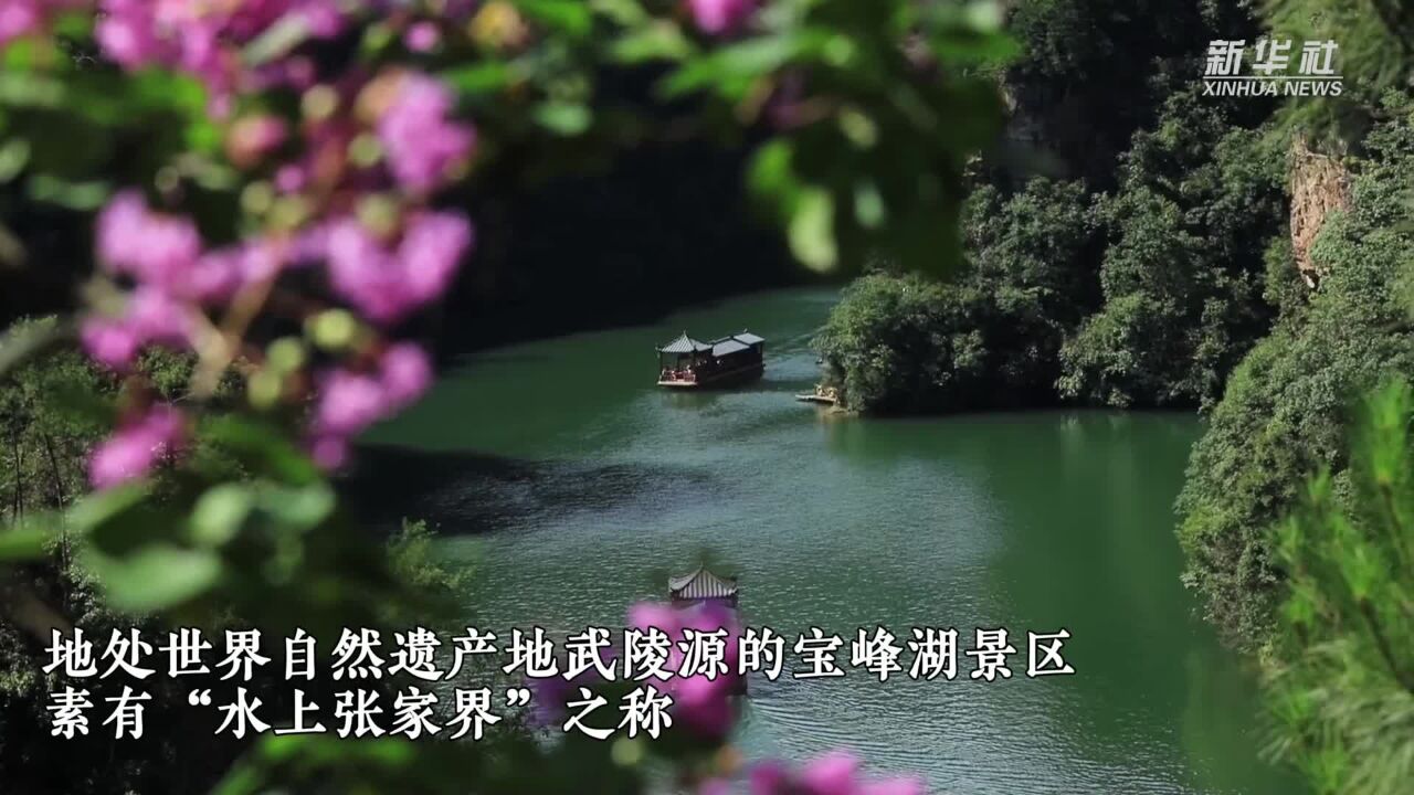 湖南张家界:泛舟湖上 清凉度夏